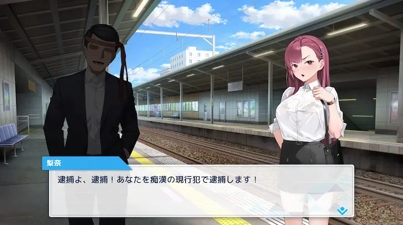 囮痴漢捜査官リナ
